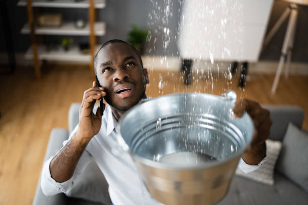 Best Fire Damage Restoration  in Tea, SD