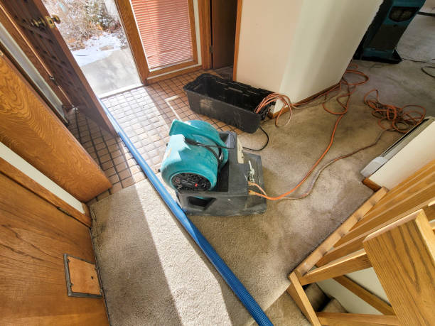 Best Local water damage restoration  in Tea, SD