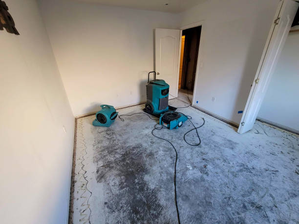 Best Water damage restoration near me  in Tea, SD