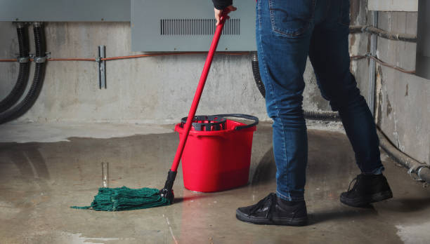 Best Ceiling water damage repair  in Tea, SD
