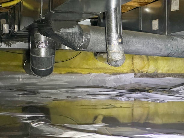 Best Mold removal after water damage  in Tea, SD