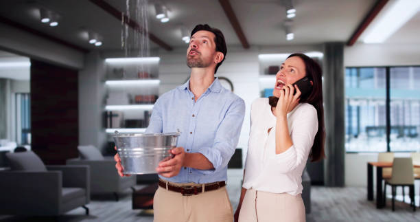 Tea, SD Water damage restoration Company