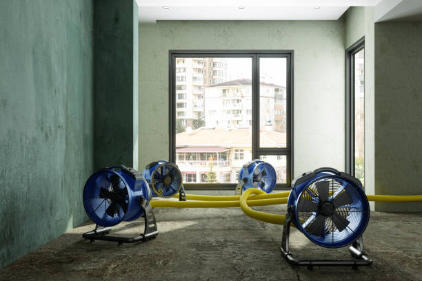 Best Water damage restoration process  in Tea, SD