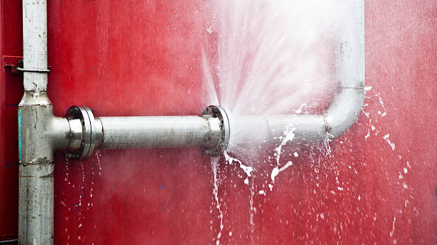 Best Water damage cleanup near me  in Tea, SD
